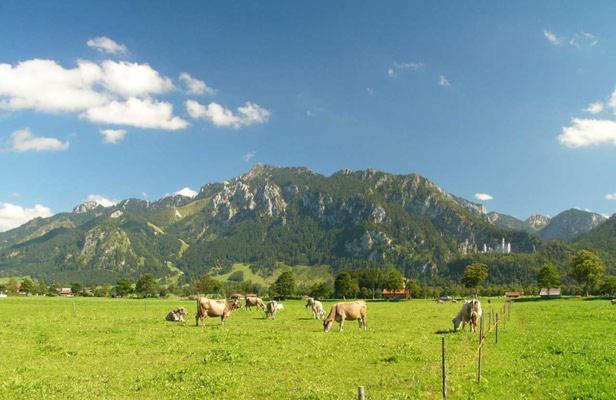 Jaegerhof Und Jaegerstadel Schwangau Bagian luar foto